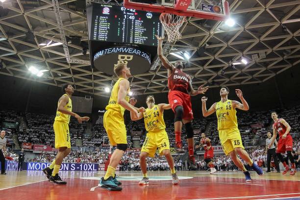 约内斯库的 约内斯库的